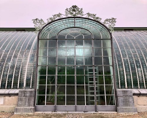 Detail na šálku bylinkového čaju a denník na stole